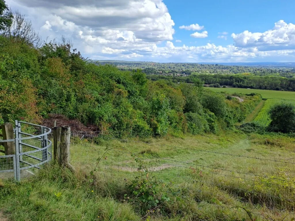 Metal kissing gate on the approach to Oxted Downs