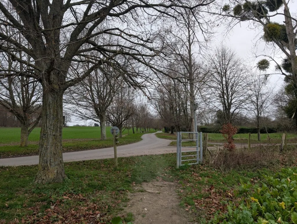 Narrow path through the fields
