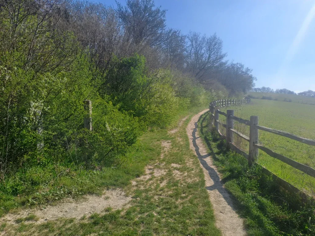 Narrowing path