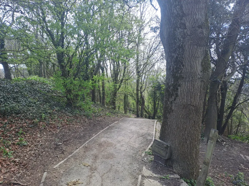 Path alongside A229