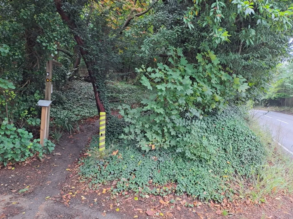 Path parallel to the road on the Dorking to Merstham section