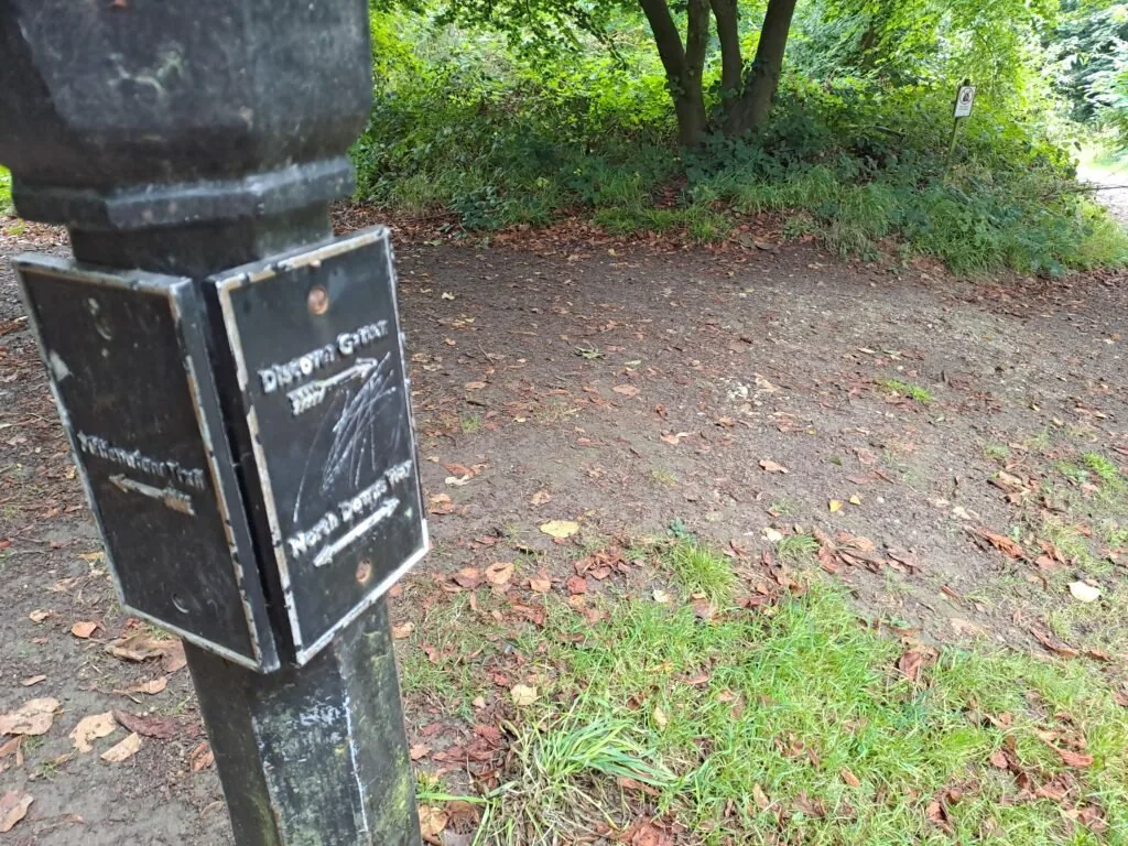 North Downs Way path through Gatton Park