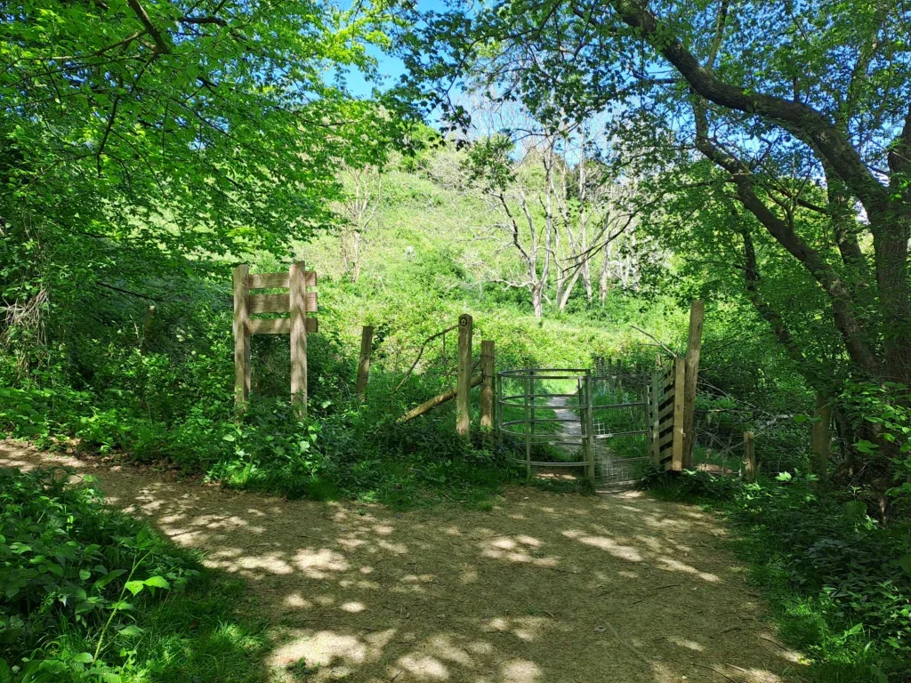 Path to Thurnham Castle