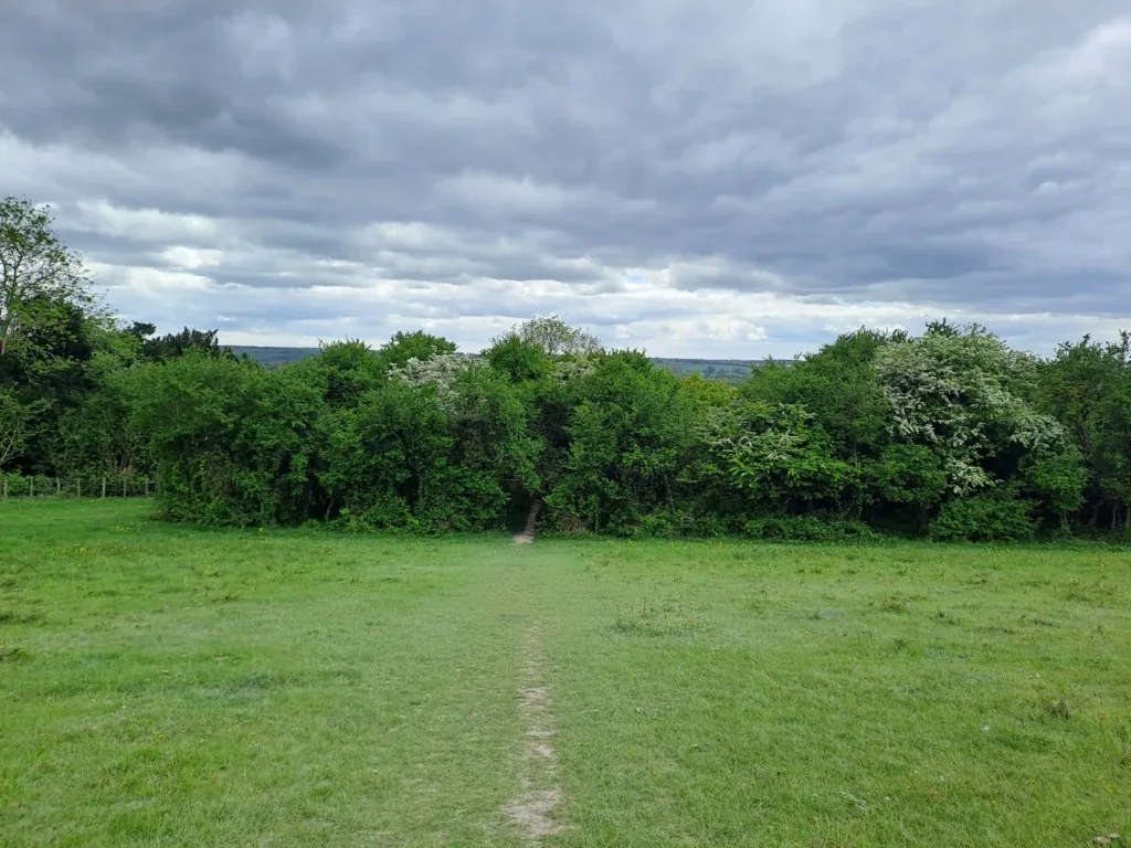 Pilgrim's Way road