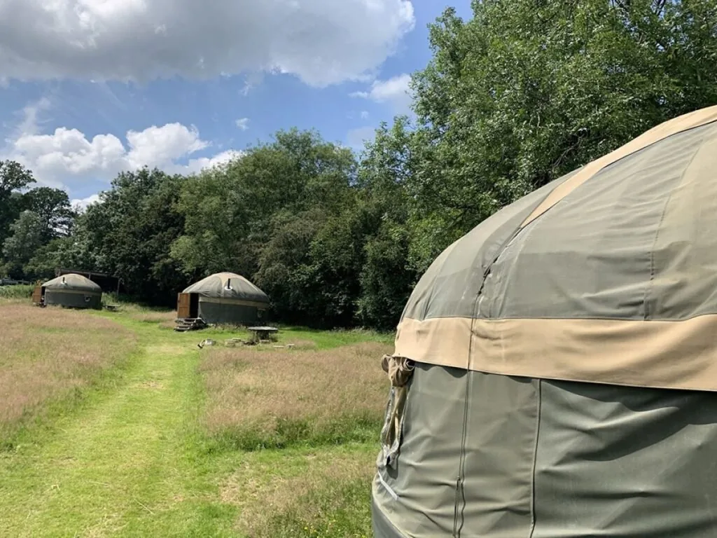 Surrey Hills Yurts Campsite