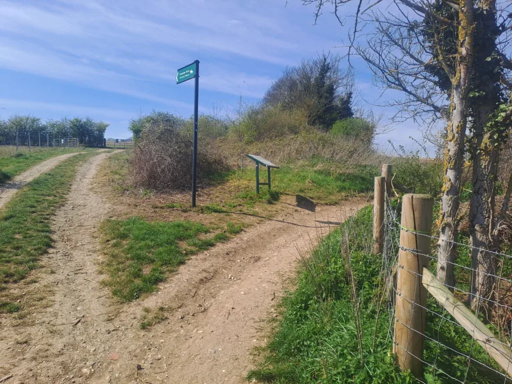 Treeline path