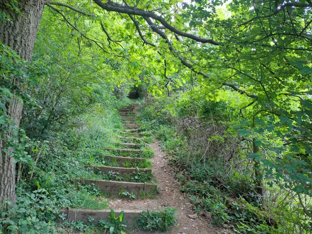 Up the first steps