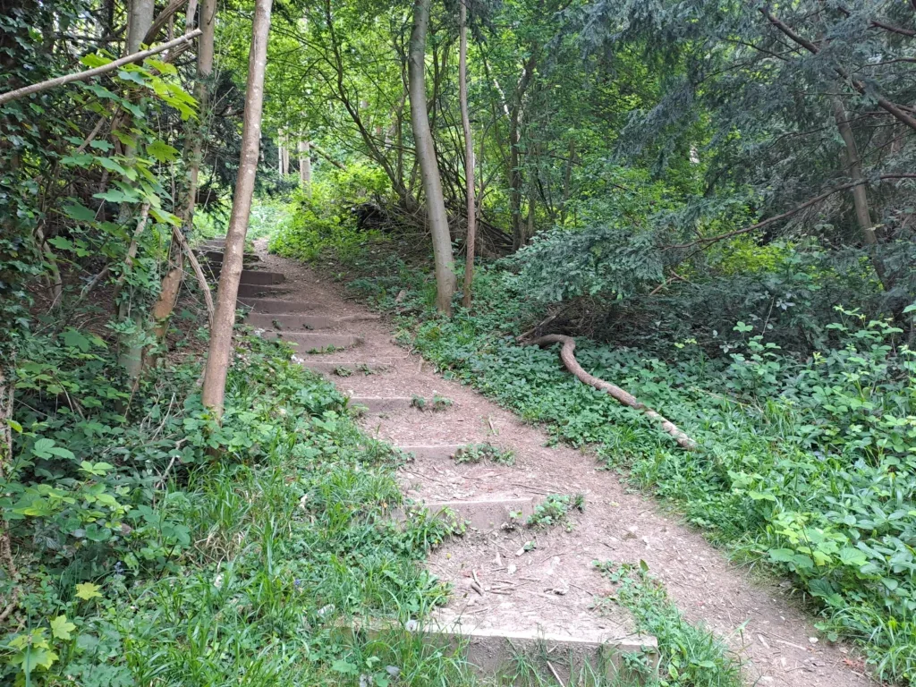 Up the third steps