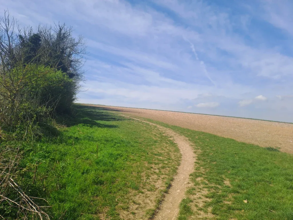 Walking alongside field