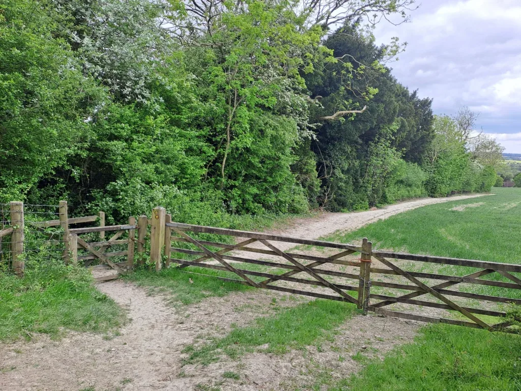 Walking towards Lenham