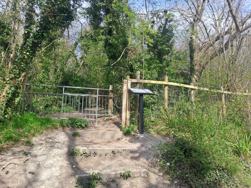 Westfield Wood path