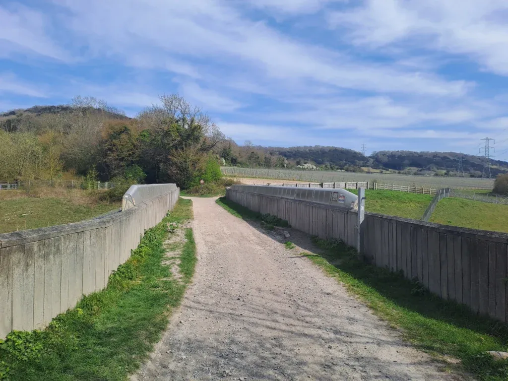 Westfield Wood uphill