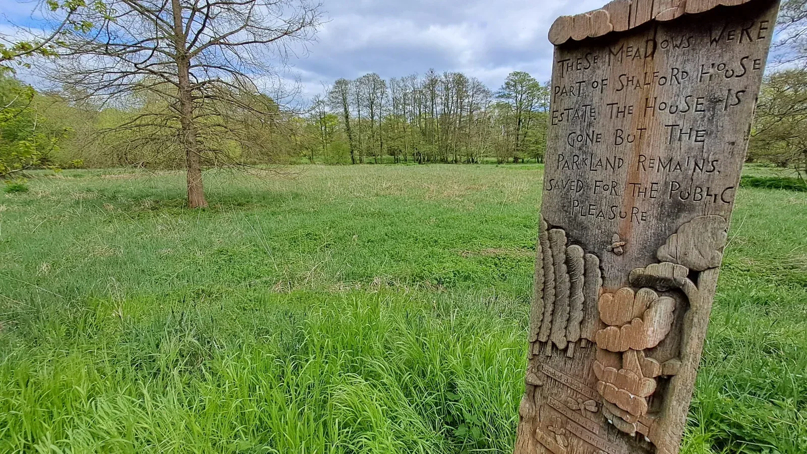 Wooden carving next to Guildford Meadows