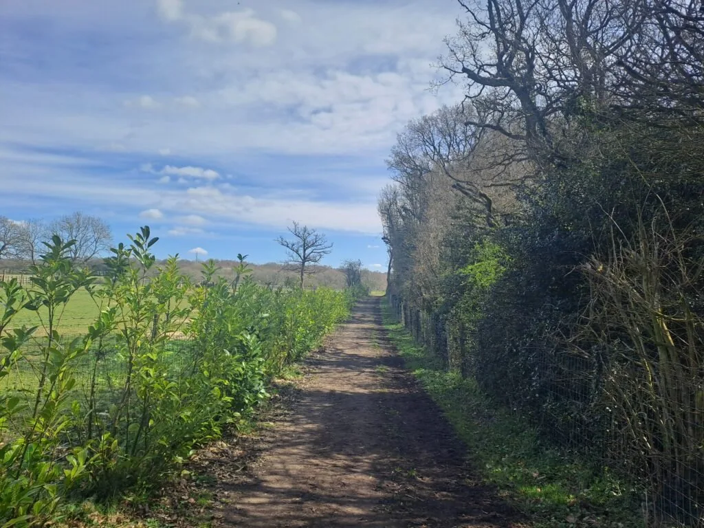 Open fields on the North Downs Way between Otford and Cuxton