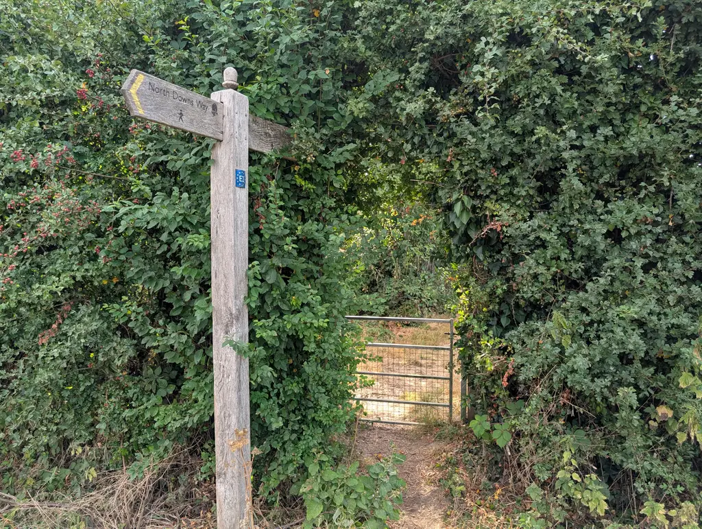 Orchard on the outskirts of Perry Court Farm