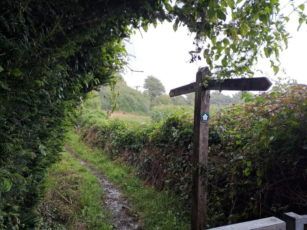 Path across Oxted Downs on the North Downs Way