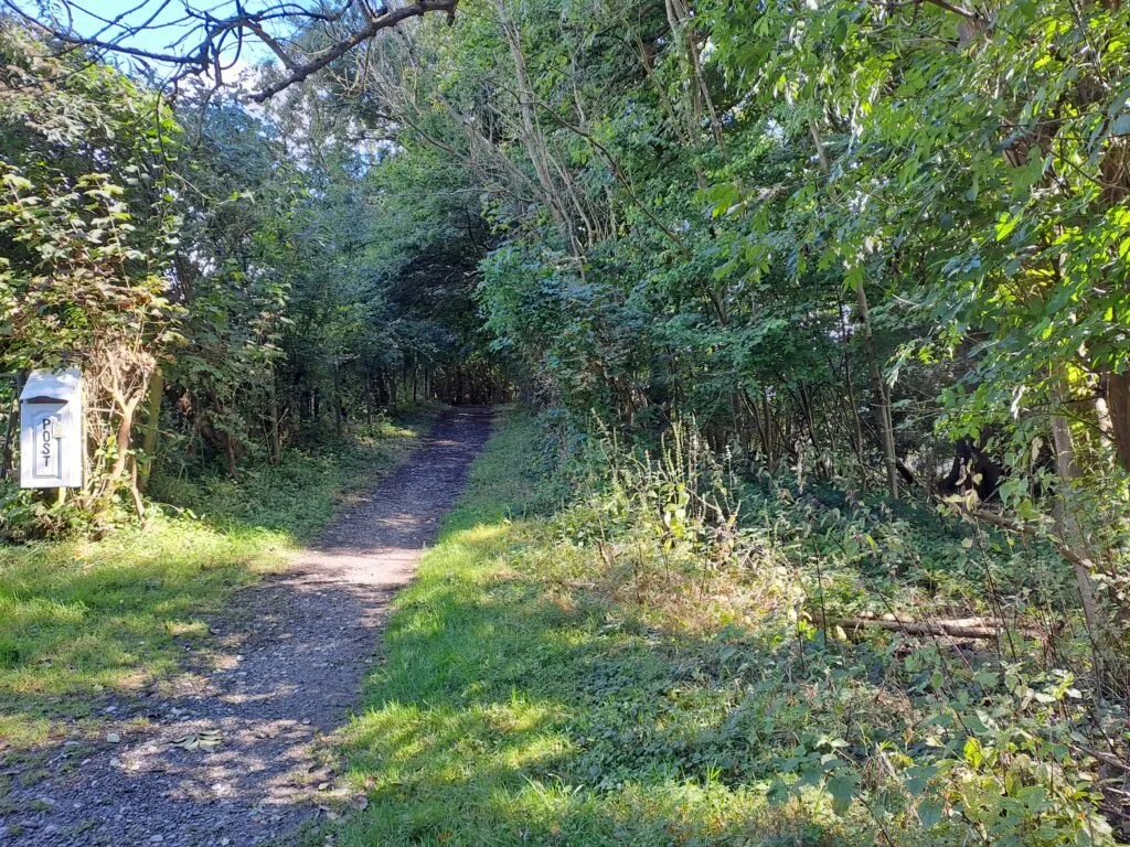 Path near Gangers Hill Road on the North Downs Way