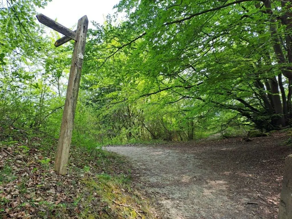 Path on the North Downs Way between Gomshall and Dorking