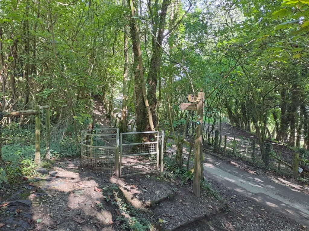 Path parallel to Tandridge Hill Lane on the North Downs Way