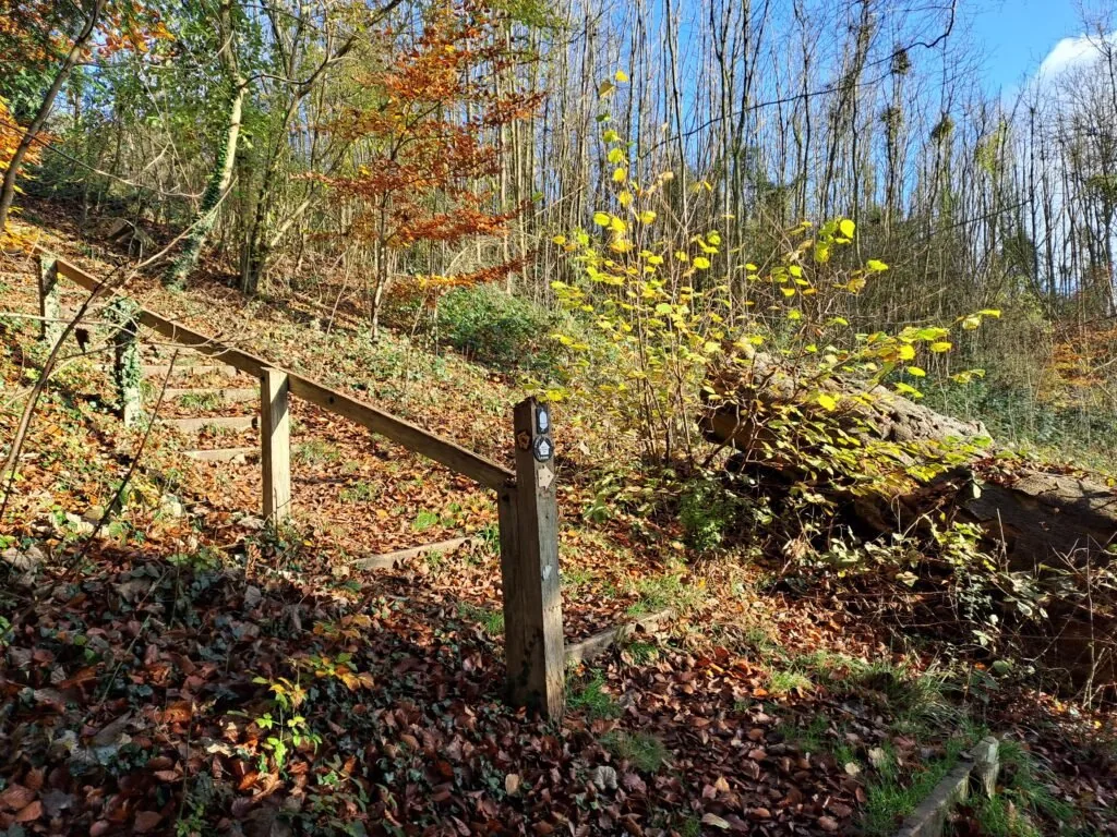 Path parallel to Titsey Road on the North Downs Way