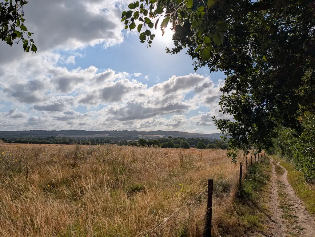 Path past Perry Court Farm with a field on the left