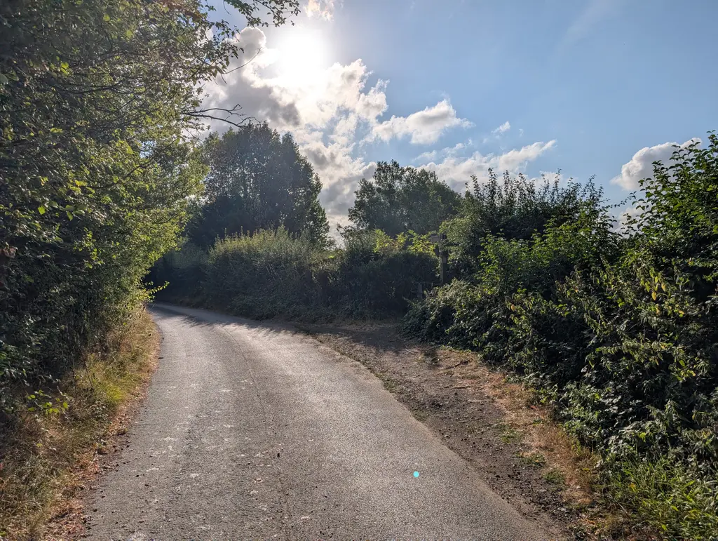 Pilgrims Way road near Boughton Lees, where the North Downs Way splits