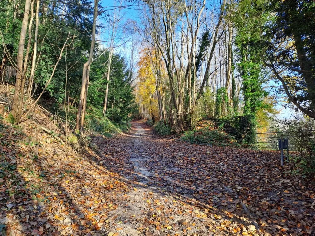 Pitchfont Lane on the North Downs Way between Oxted and Otford