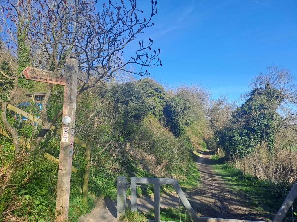Point where Hognore Lane and Pilgrim's Way converge on the North Downs Way