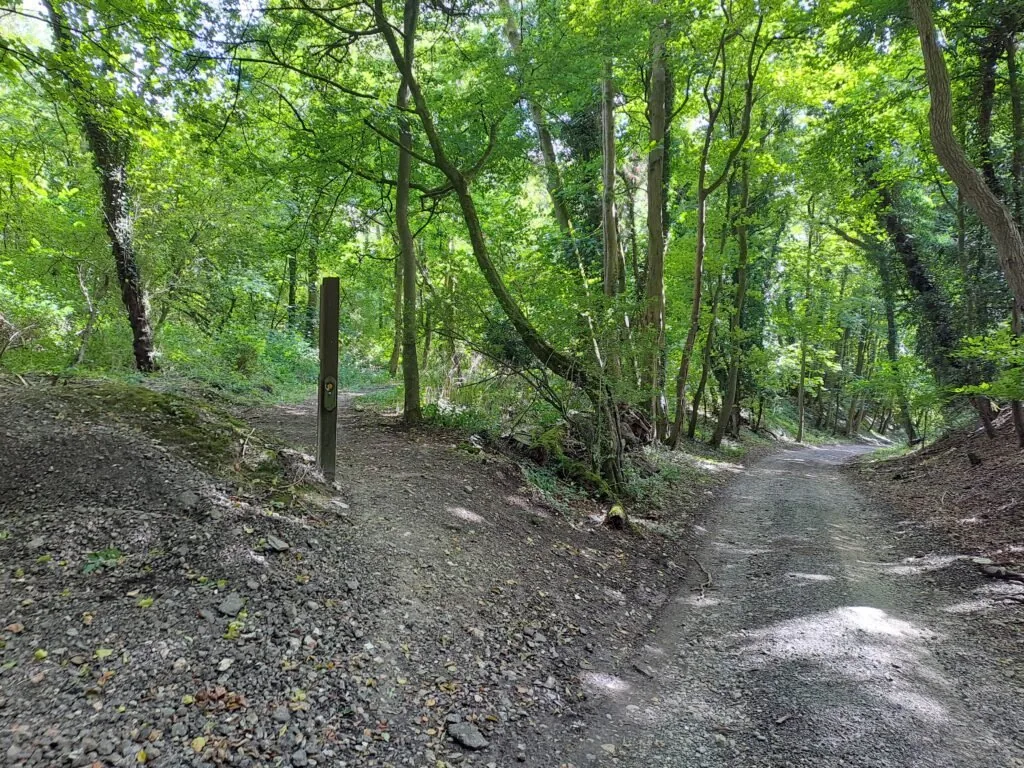 Quarry Road on the North Downs Way between Merstham and Oxted