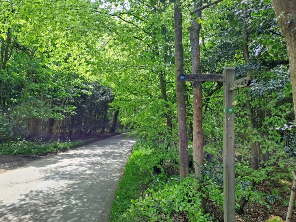 Quick left turn in the Shere Woodlands on the North Downs Way