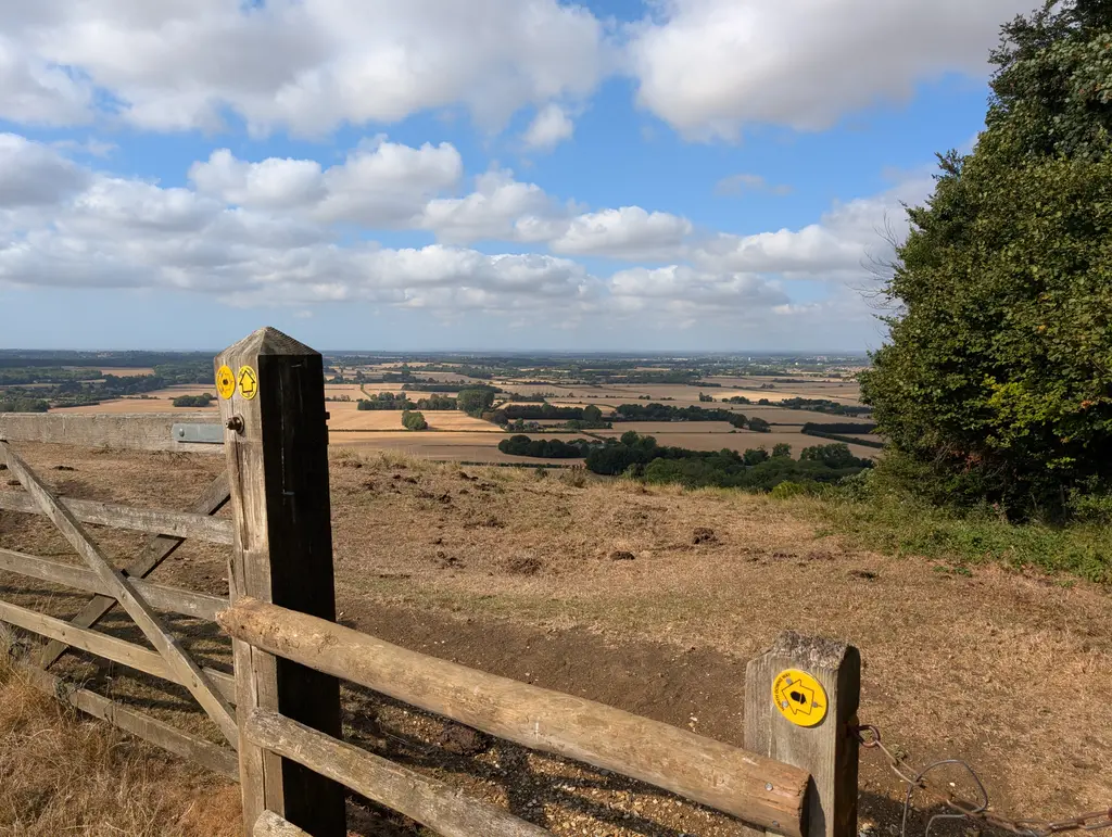Wooded path onto the ridgeline near the Wye Crown