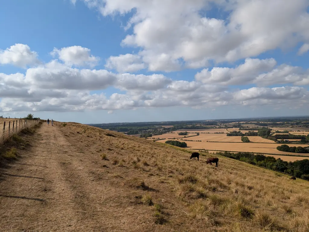 Ridgeline walking near the Wye Crown