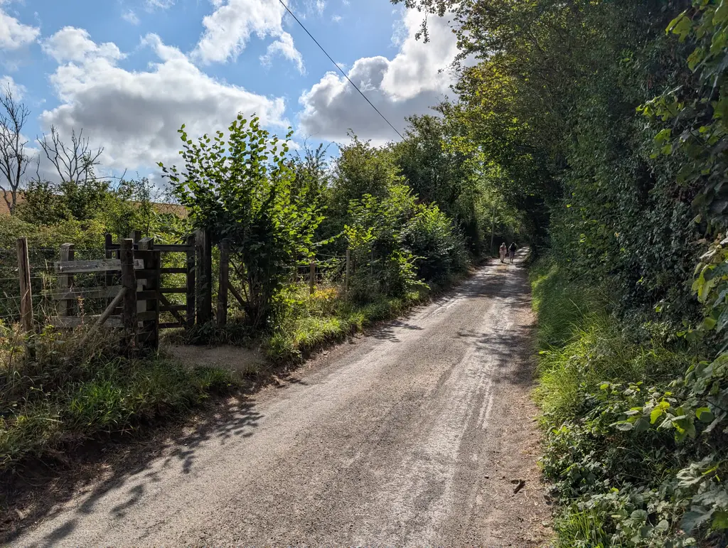 Road ascent towards the Wye Crown