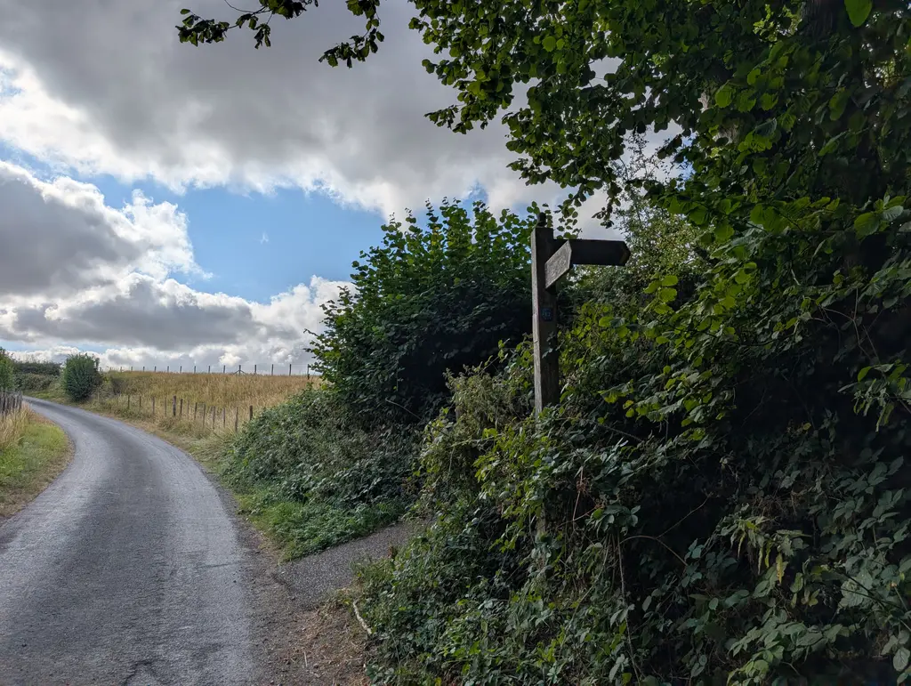Turning back into the woods towards the Wye Crown