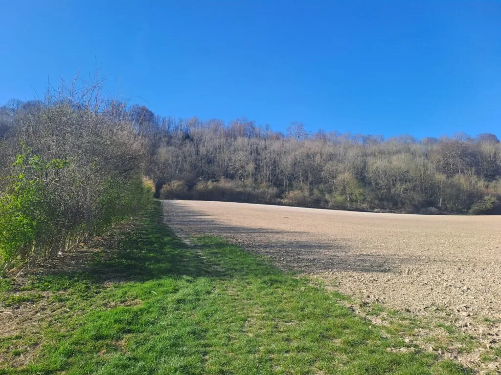 Sharp left turn on the North Downs Way between Wrotham and Cuxton