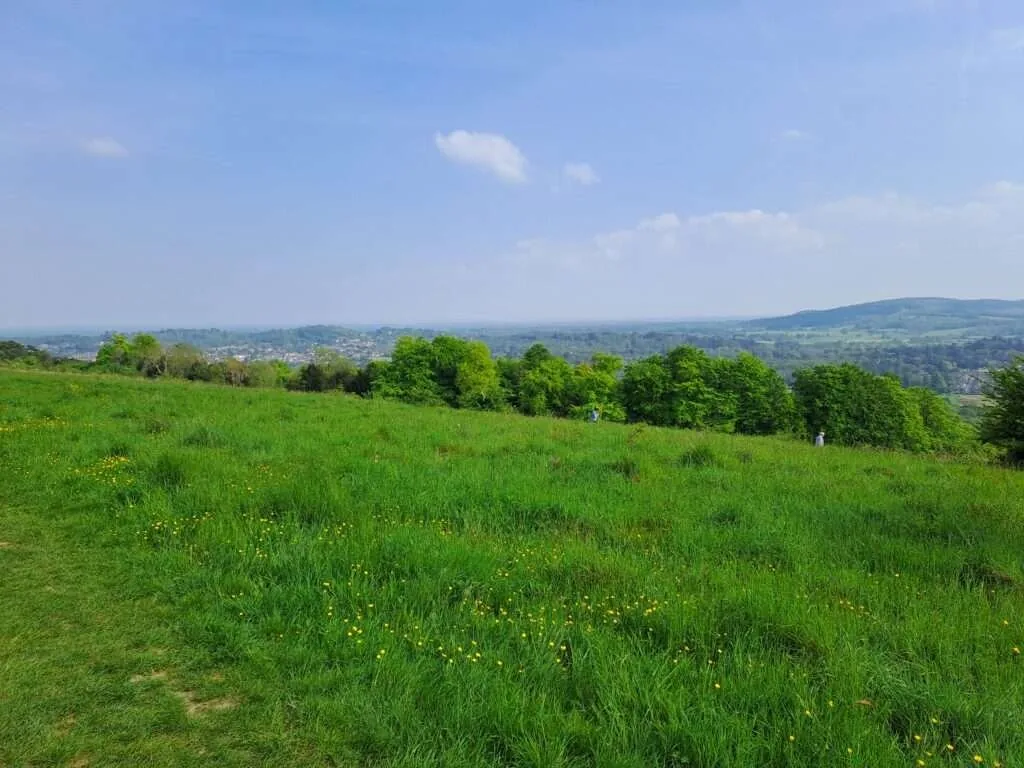 Steer's Field on the North Downs Way between Gomshall and Dorking