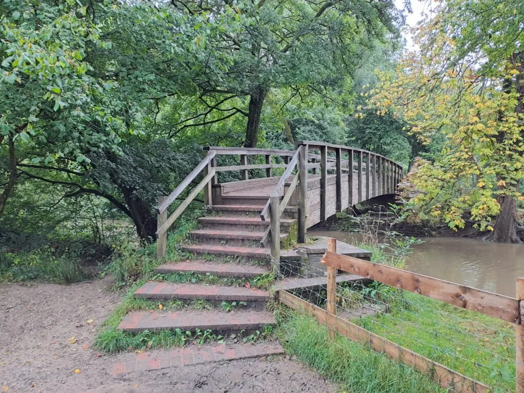 Stepping Stones at Box Hill on the North Downs Way