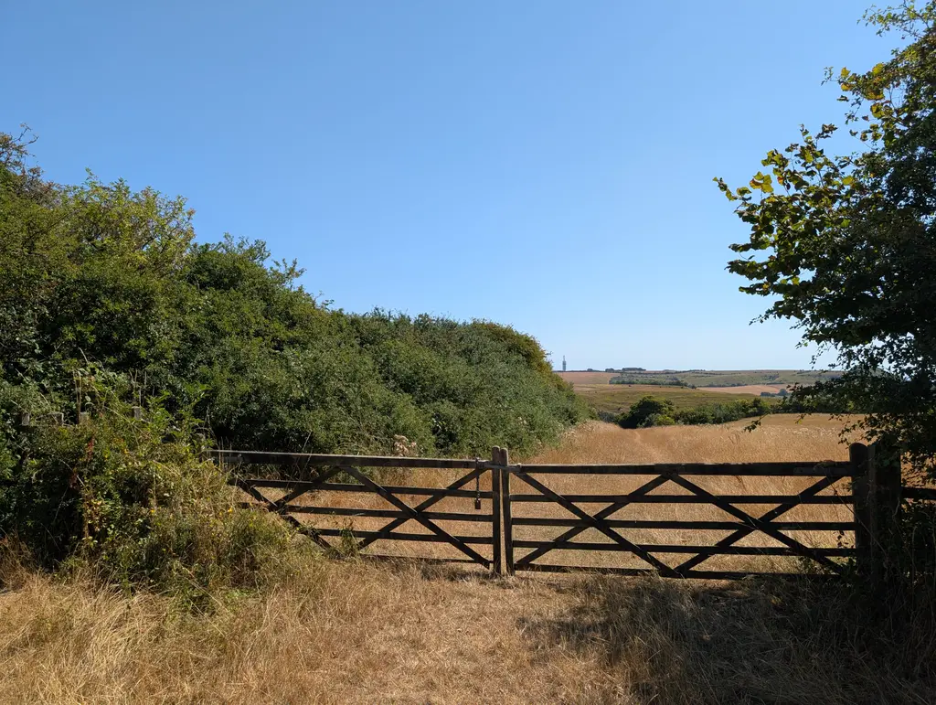 Crossing Farthing Common Road