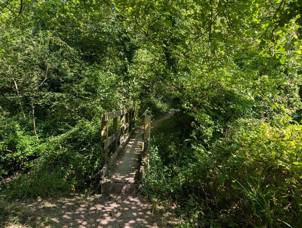 Stream on the North Downs Way with sheep grazing