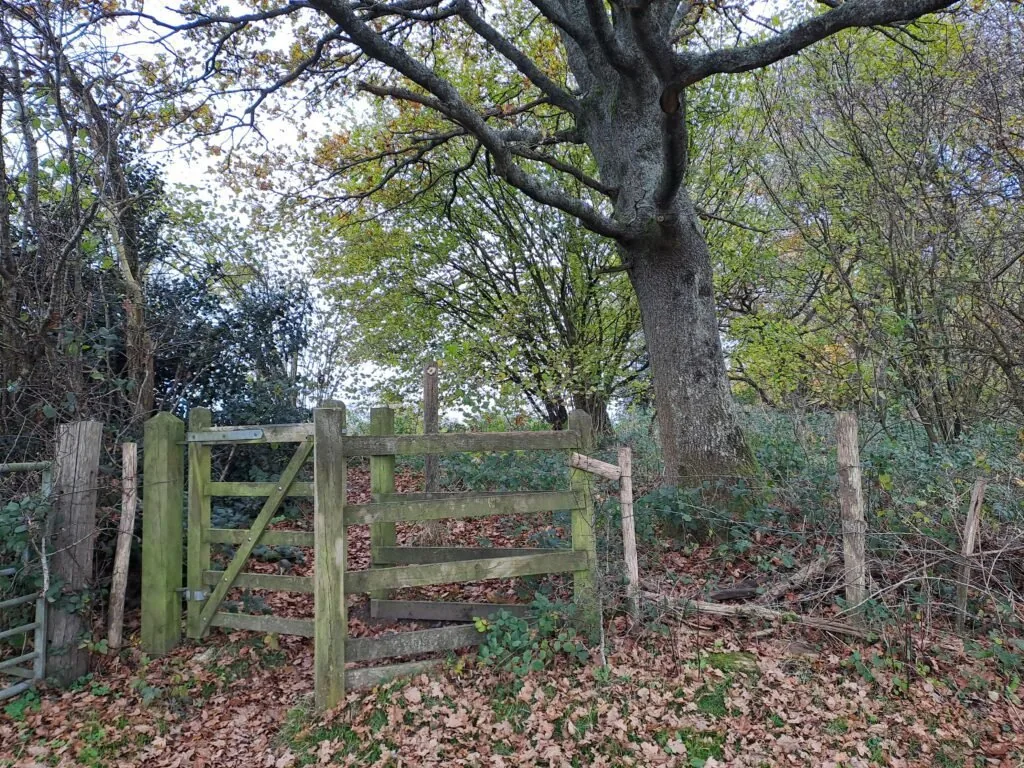 Sundridge Lane crossing on the North Downs Way