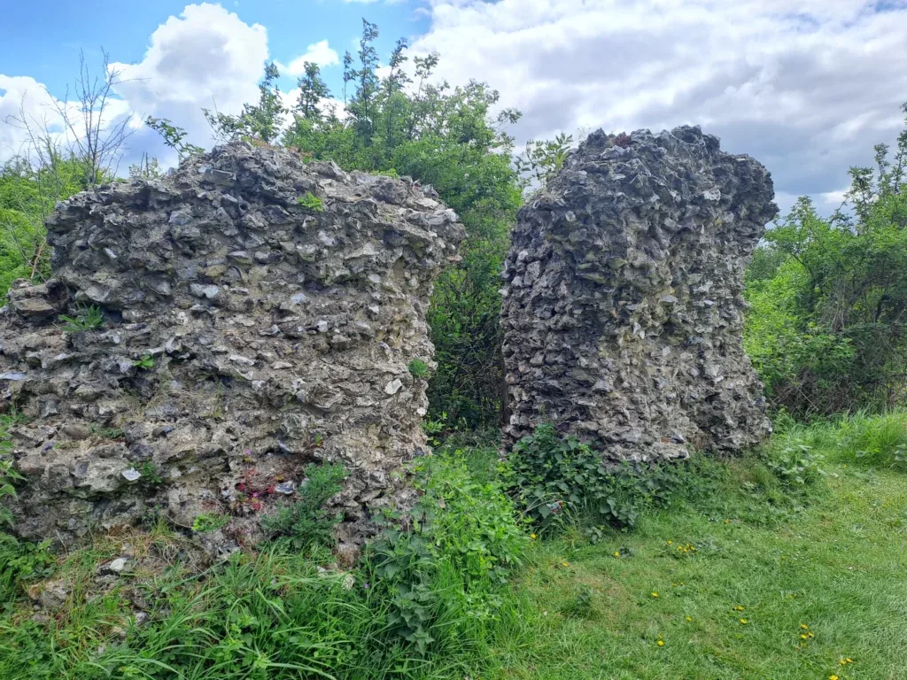 The North Downs Way near Detling