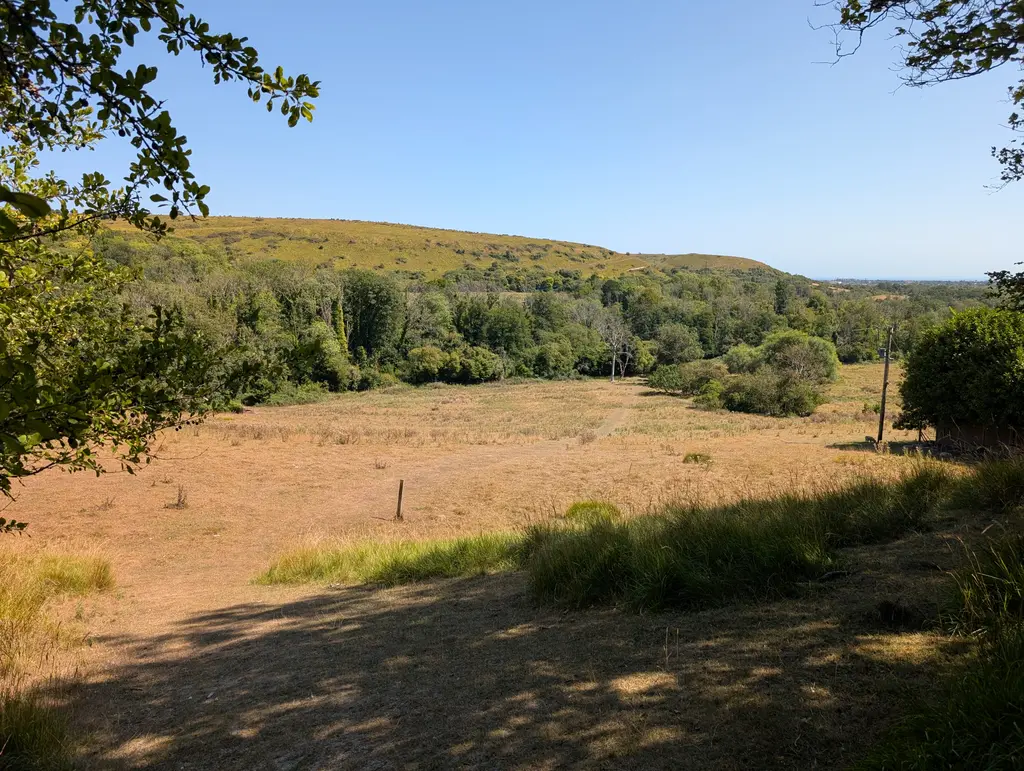 Reconnecting with Canterbury Road