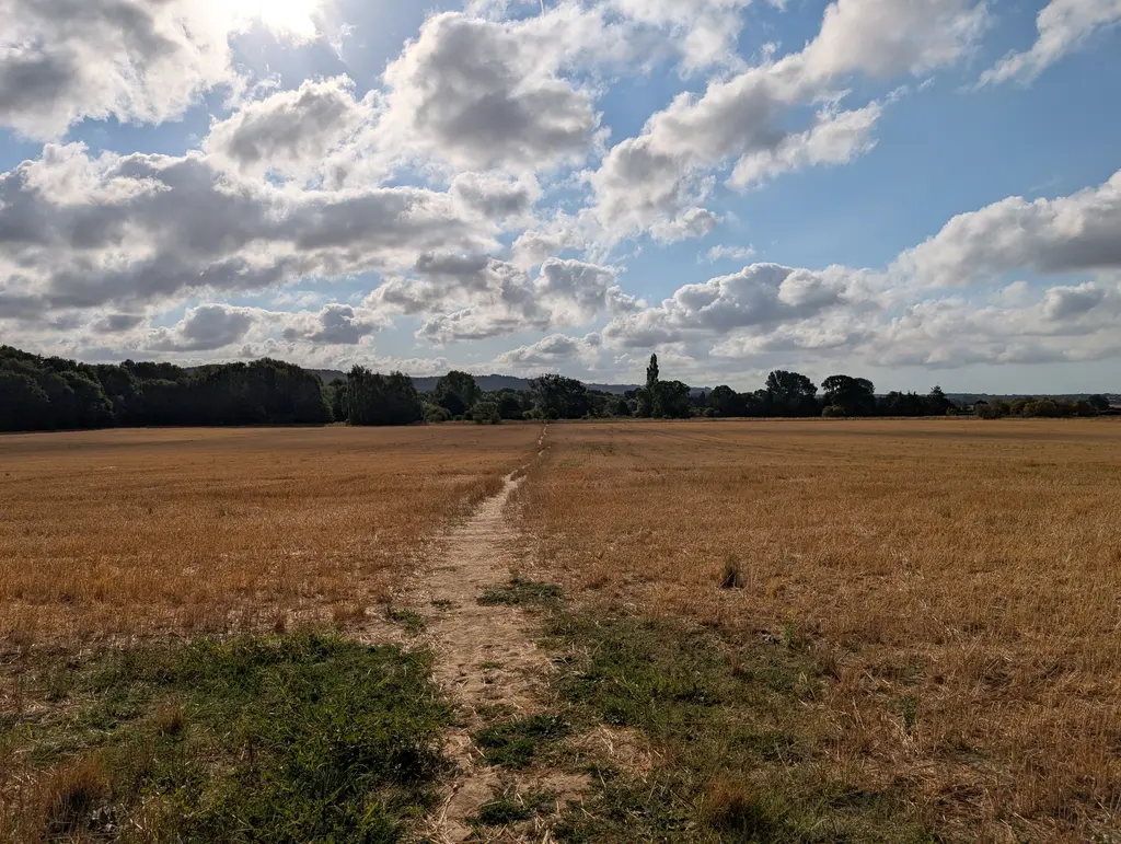 Field path on the North Downs Way near Wye