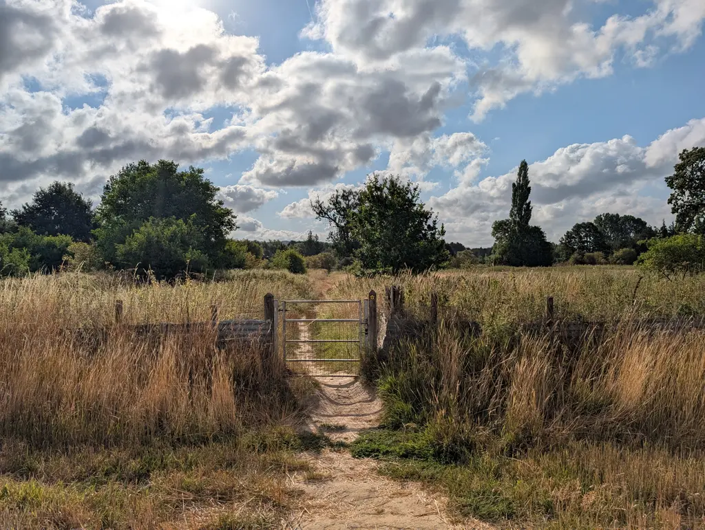 Emerging into a large field on the North Downs Way near Wye