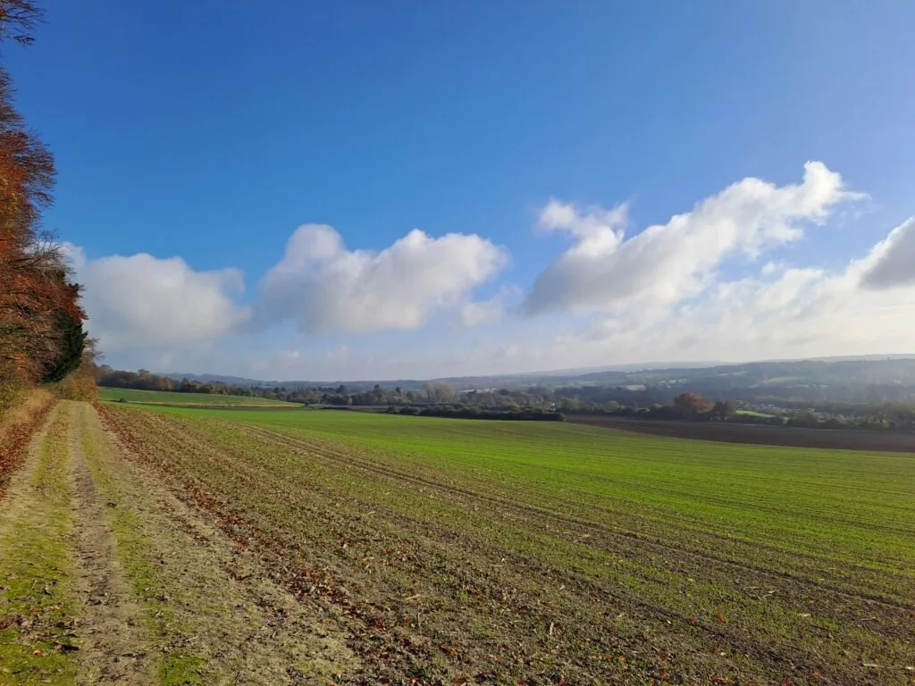 View of a field just outside Oxted on the North Downs Way National Trail