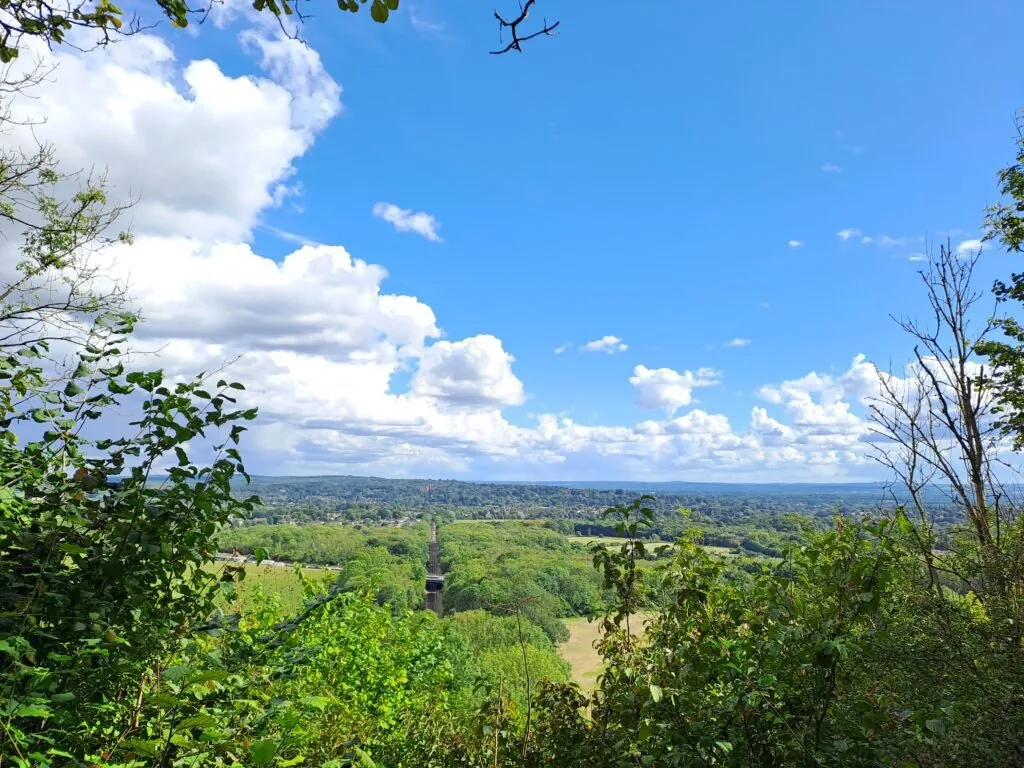 View from the long staircase on the North Downs Way