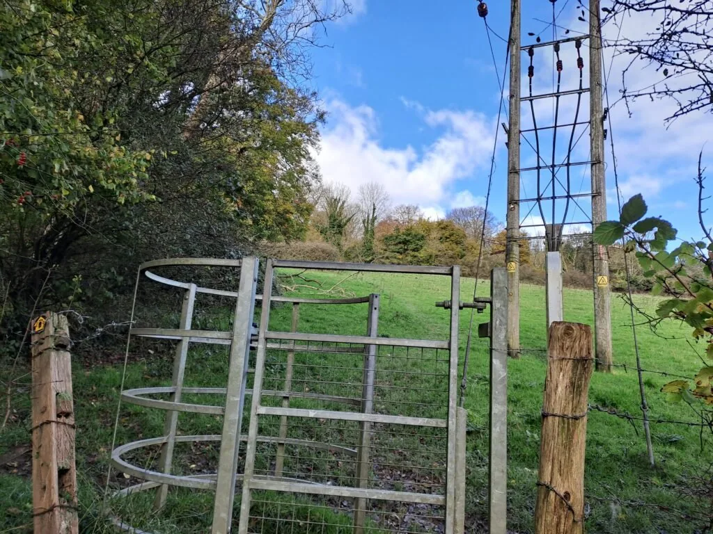 View from near the electricity pylon on the North Downs Way