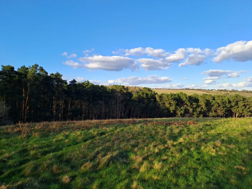 View of the Hog's Back from the North Downs Way