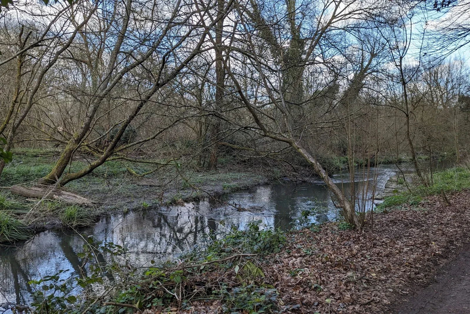 View of the River Wey on the North Downs Way