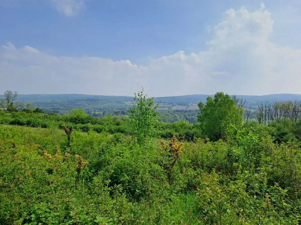 View of the rolling hills along the North Downs Way National Trail